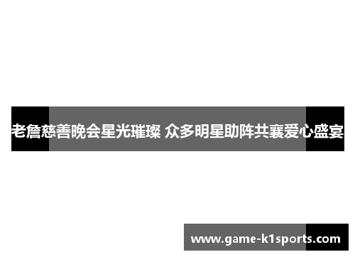 老詹慈善晚会星光璀璨 众多明星助阵共襄爱心盛宴